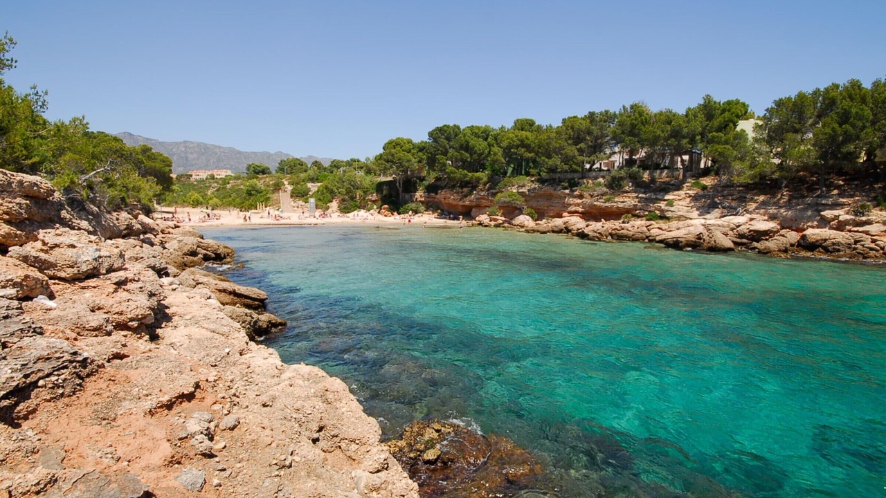 Photo of Others in Calafat