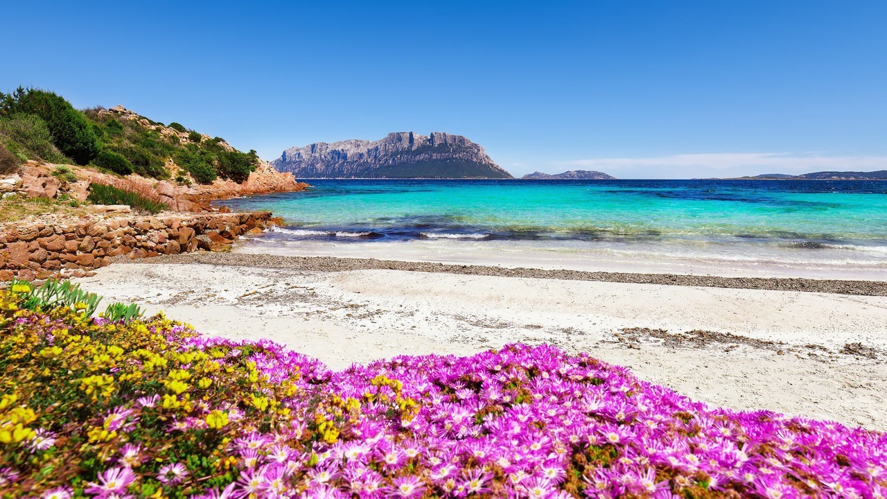 Photo of Others in Olbia