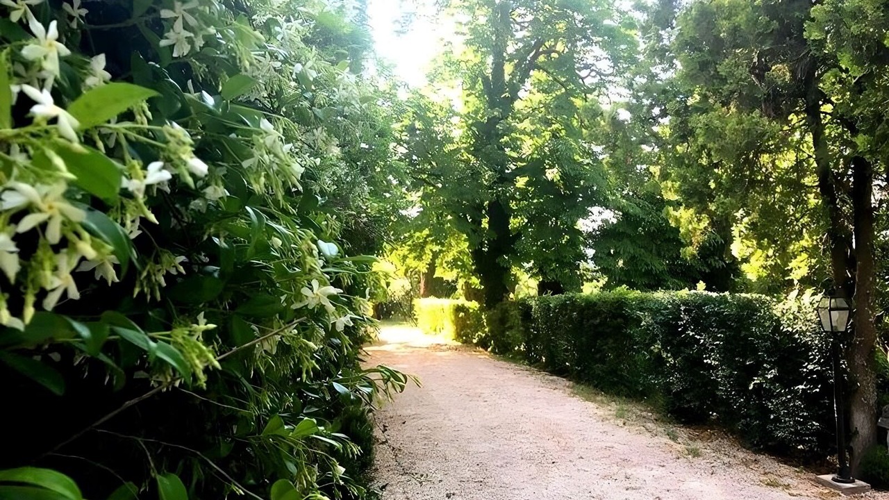 Photo of Outdoor in Bomarzo