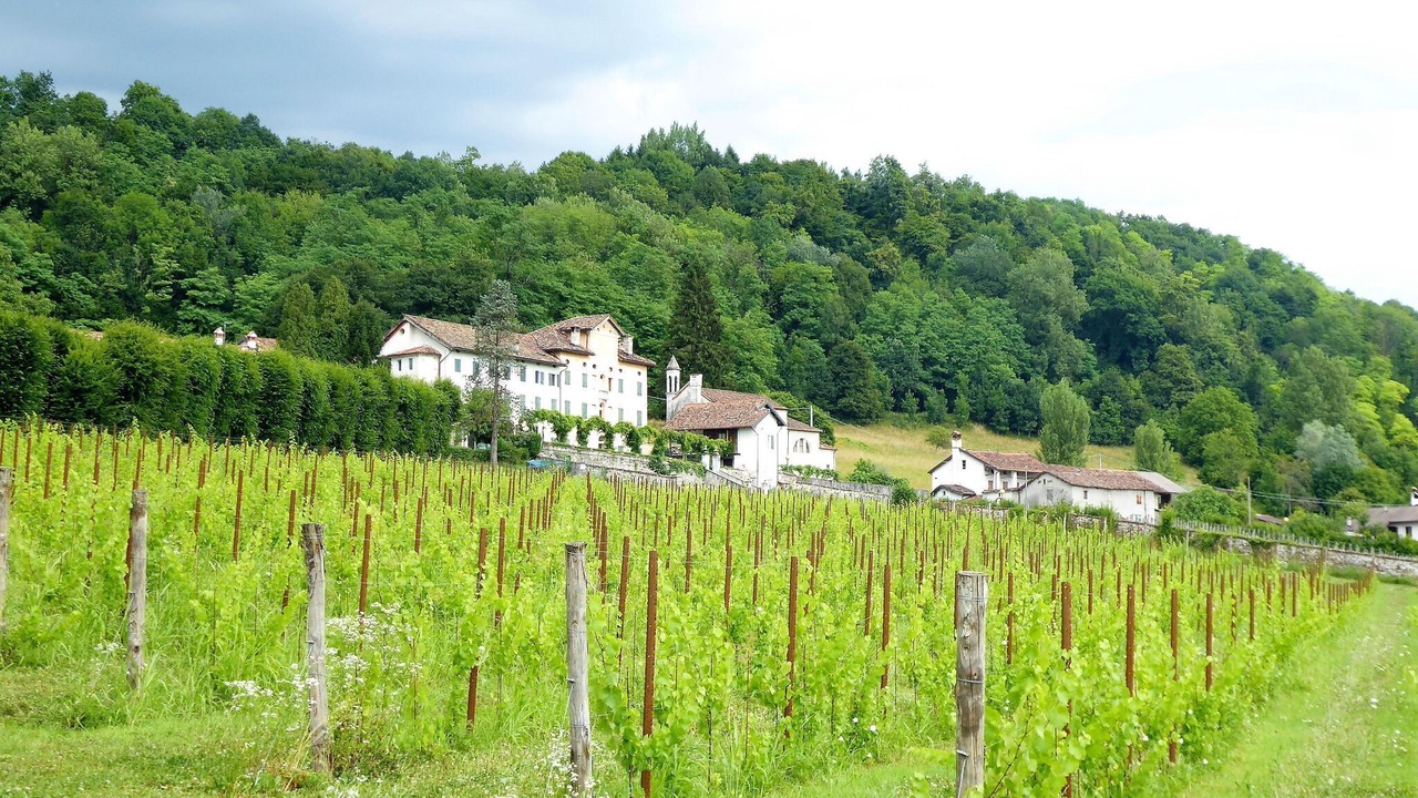 Photo of Outdoor in Santa Giustina