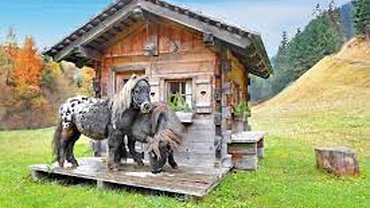 Photo of Others in Selva di Val Gardena