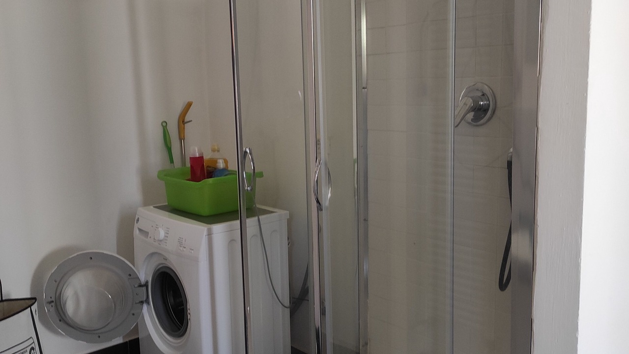 Photo of Bathroom in Saragozza-Porto
