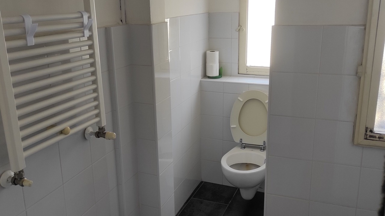 Photo of Bathroom in Saragozza-Porto