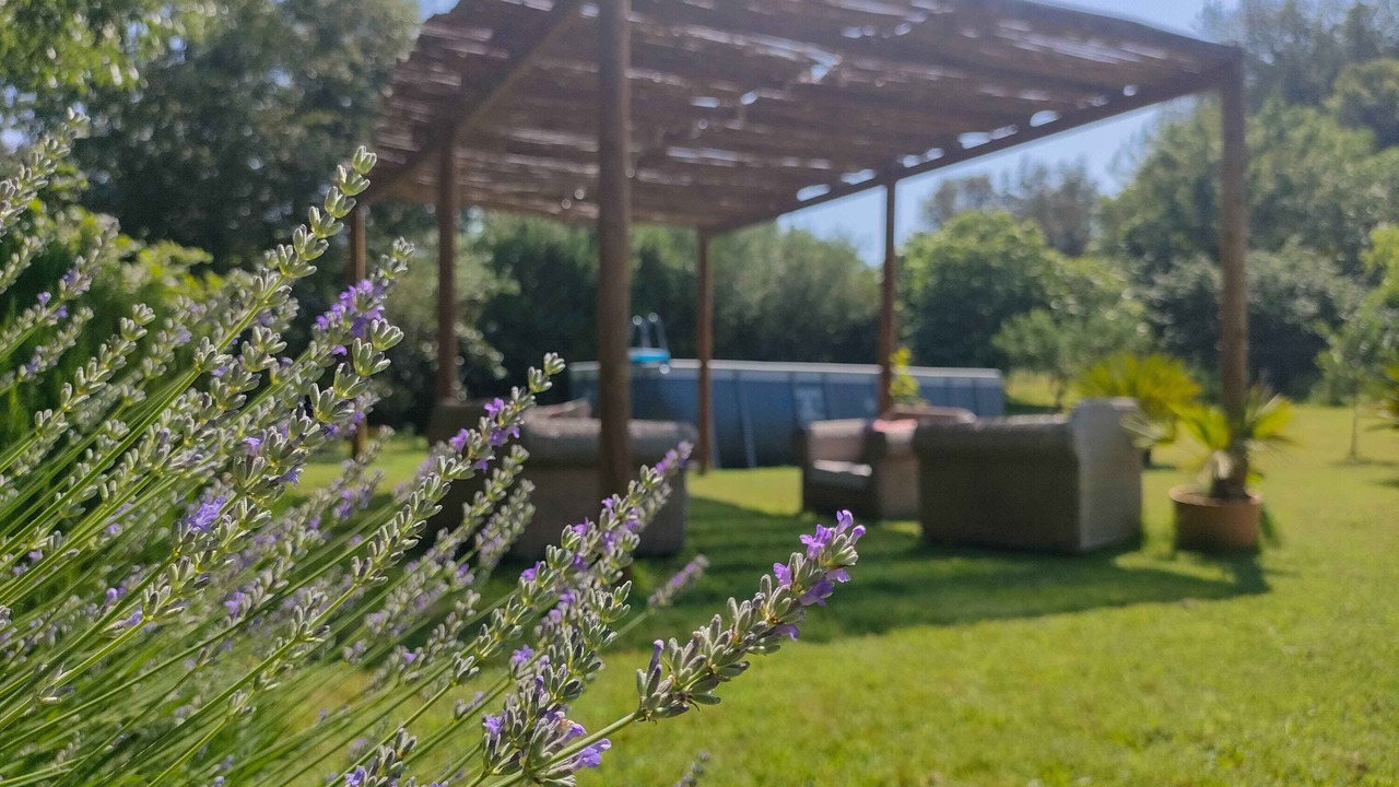 Photo of Outdoor in Sant Marti Vell