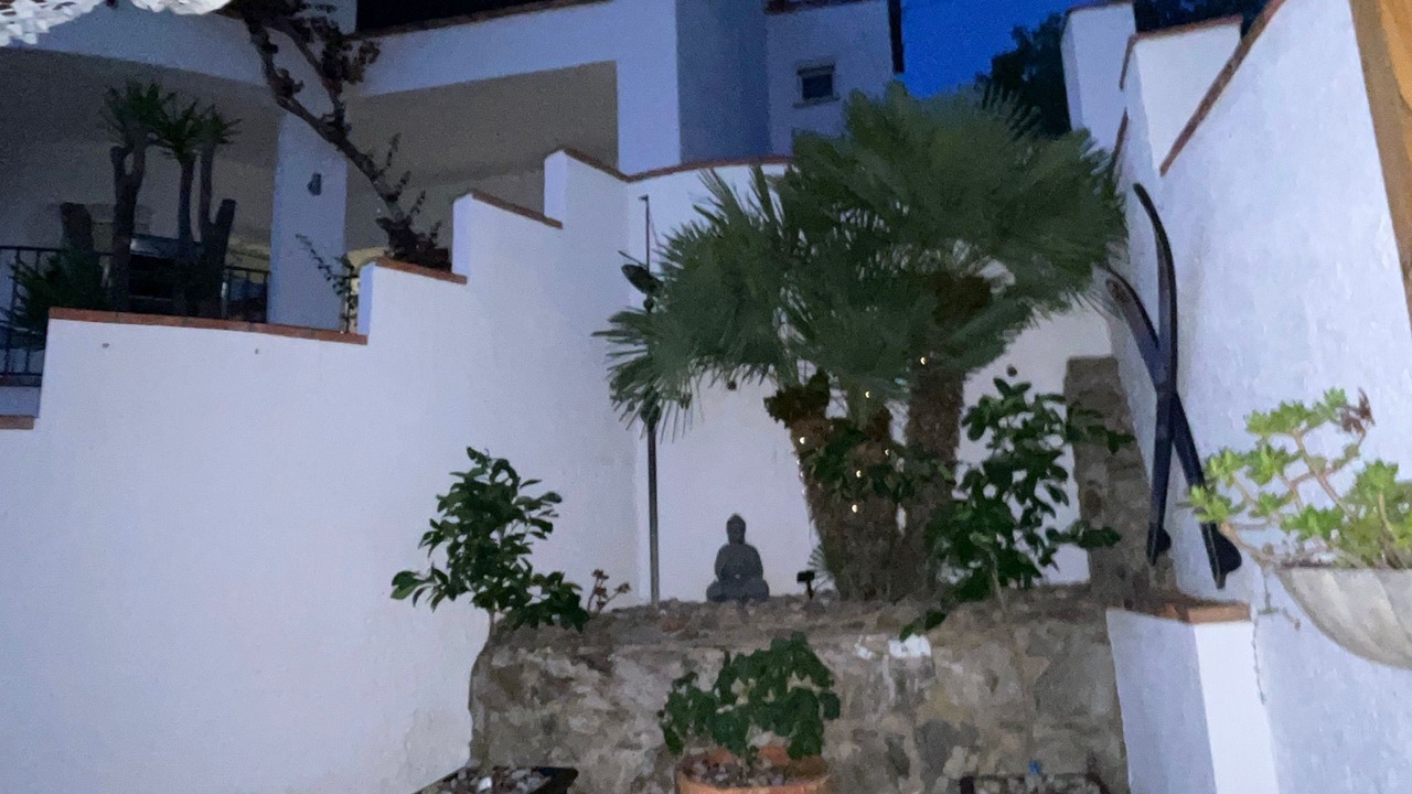 Photo of Outdoor in Roses Town Center