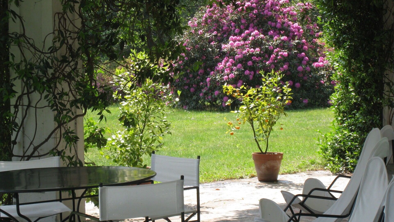 Photo of Patio Balcony in Dormelletto