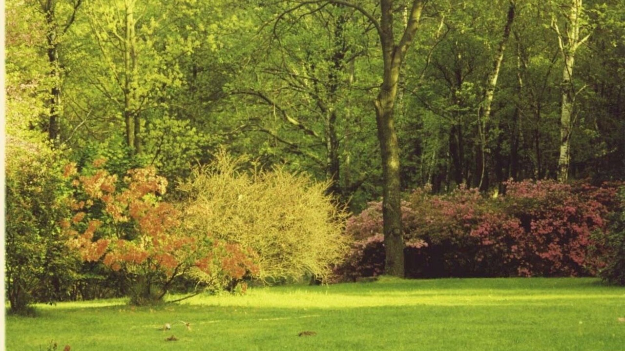 Photo of Outdoor in Dormelletto