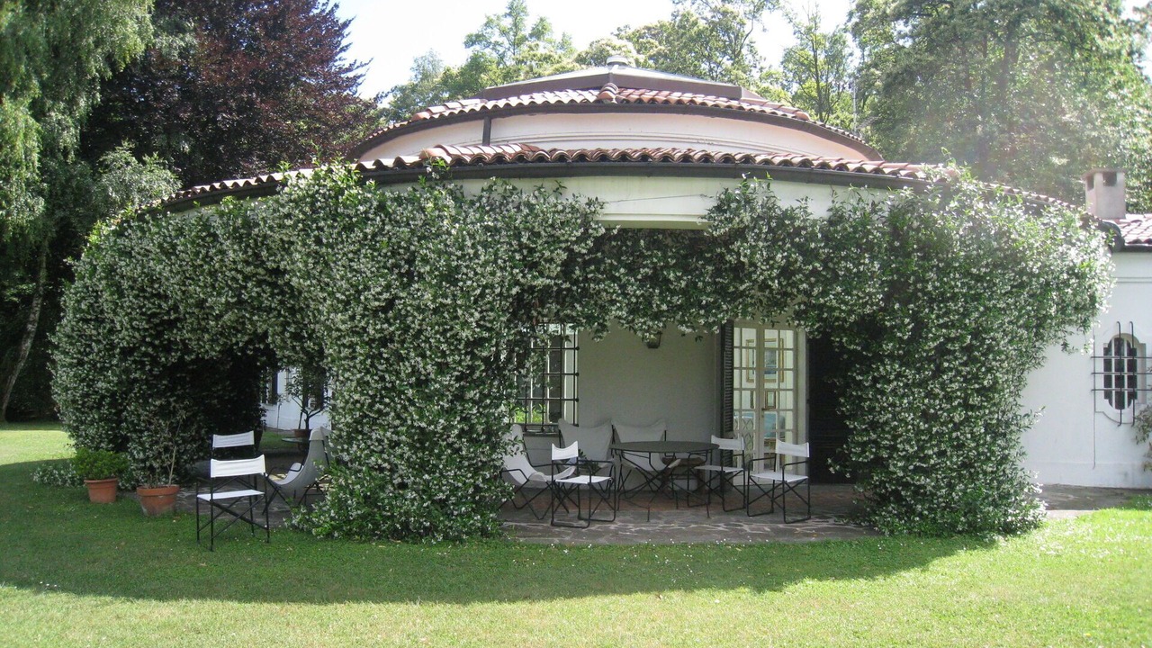 Photo of Patio Balcony in Dormelletto