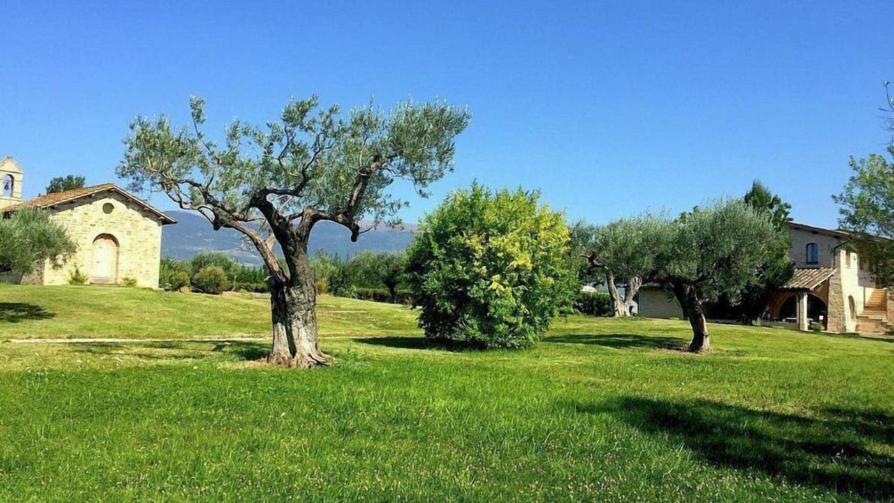 Photo of Outdoor in Santa Maria degli Angeli