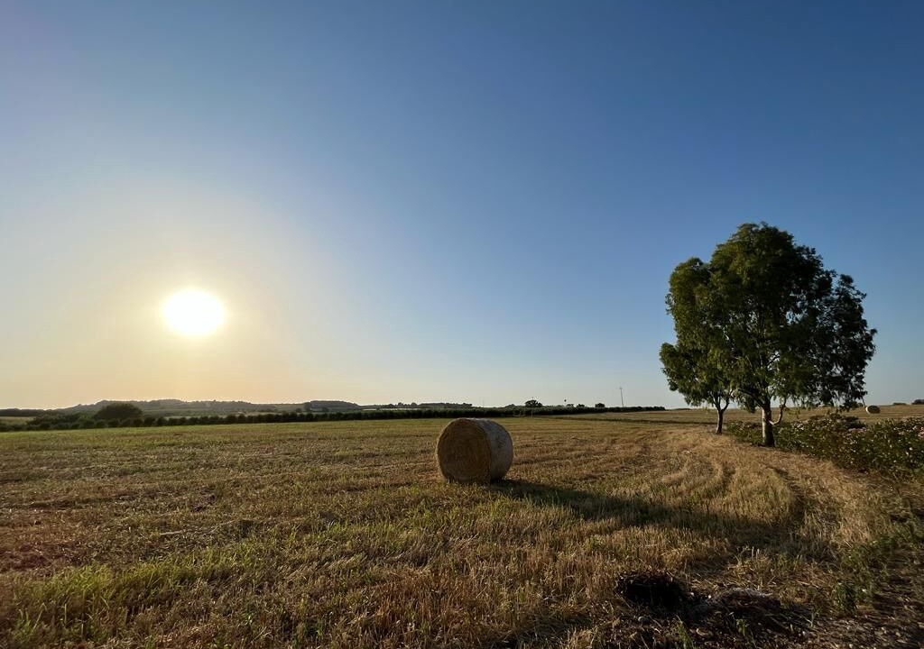 Photo of Outdoor in Montalbano Jonico