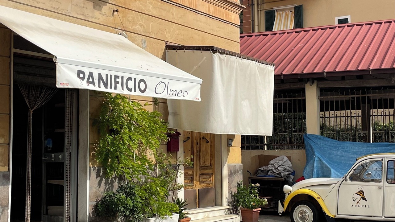 Photo of Outdoor in Cadimare