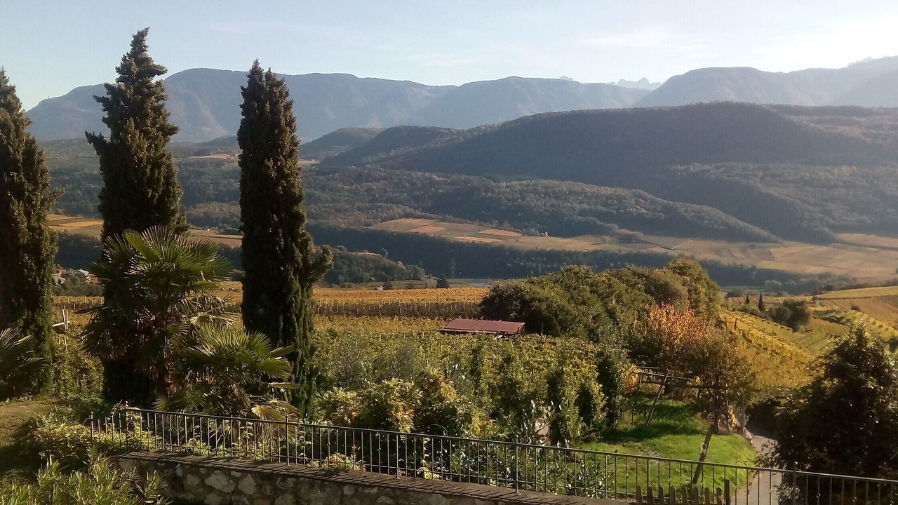 Photo of Outdoor in Caldaro Sulla Strada del Vino
