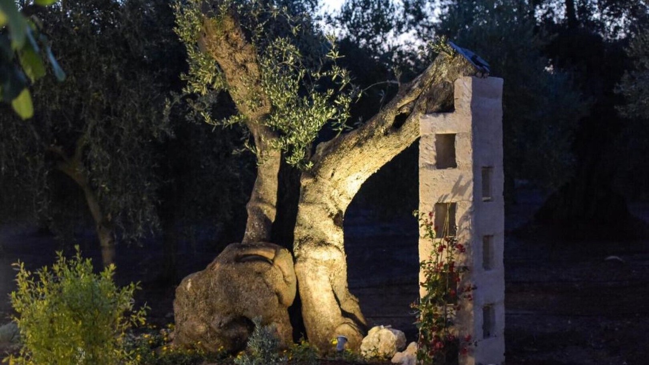 Photo of Others in Ostuni