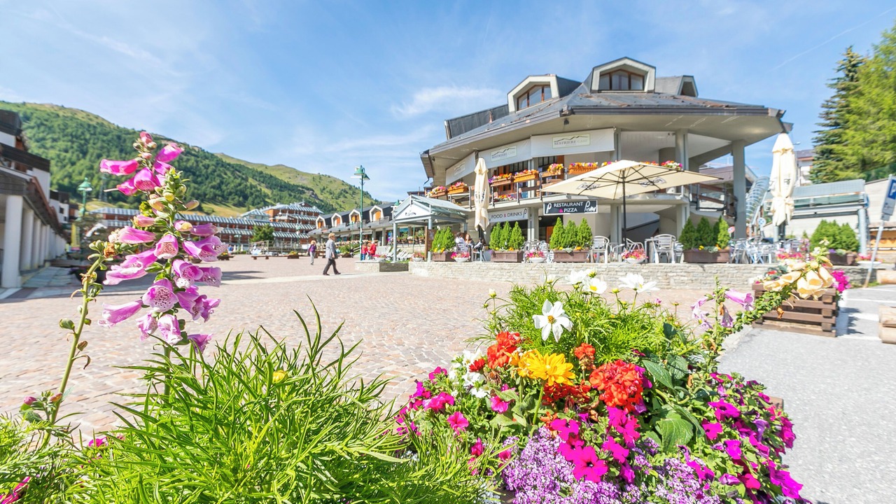 Photo of Others in Sestriere