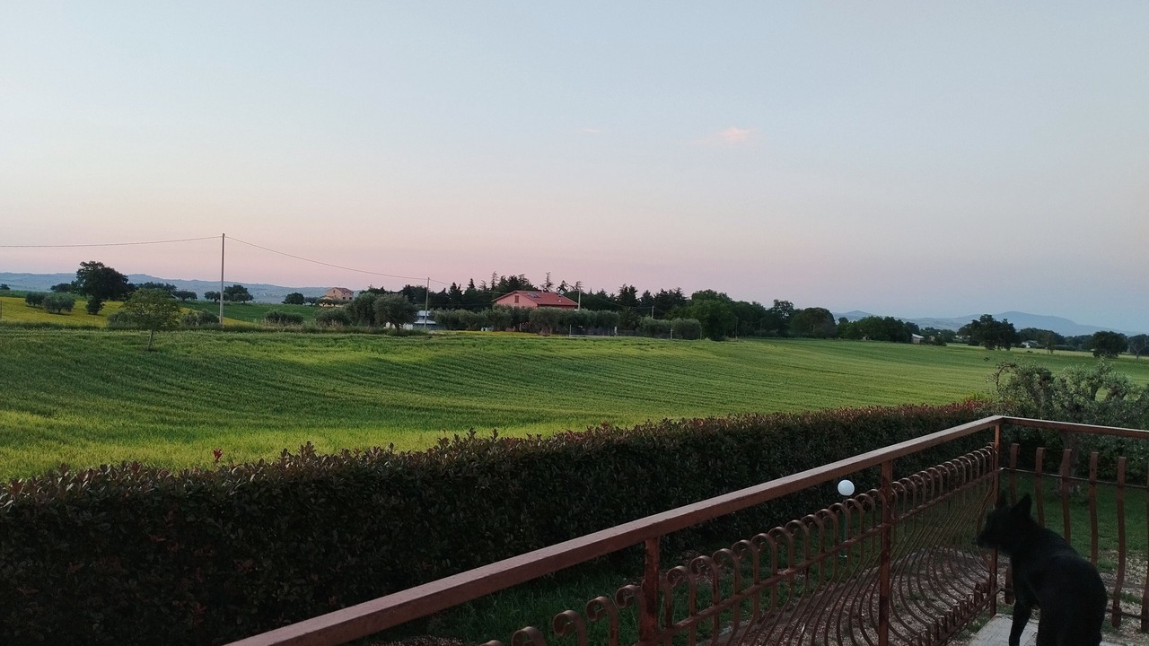 Photo of Outdoor in Chiesanuova