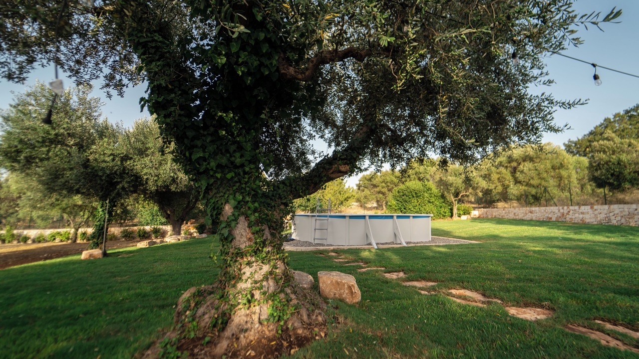 Photo of Outdoor in Macchia di Monte