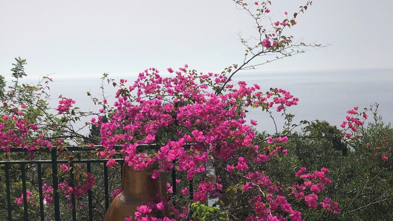Photo of Outdoor in Castro Marina
