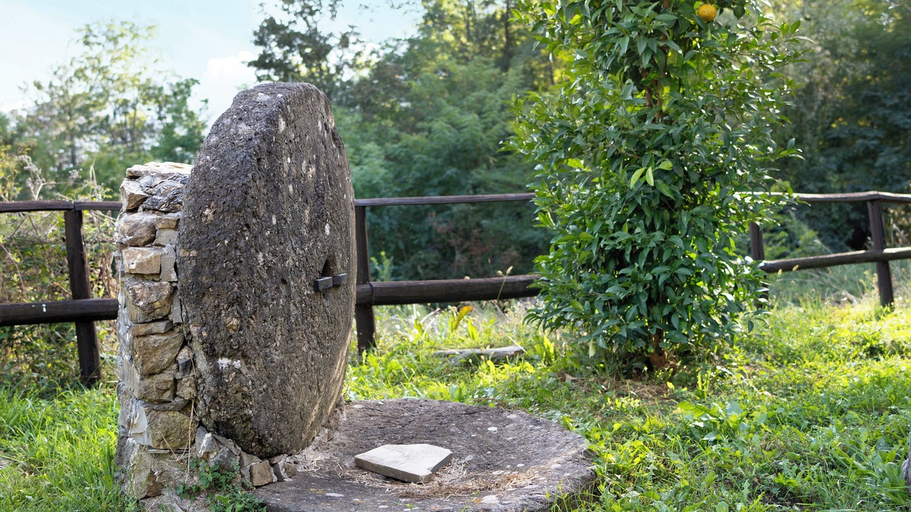 Photo of Outdoor in Stibiveri