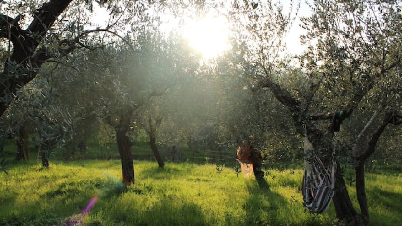 Photo of Others in Santo Stefano di Magra