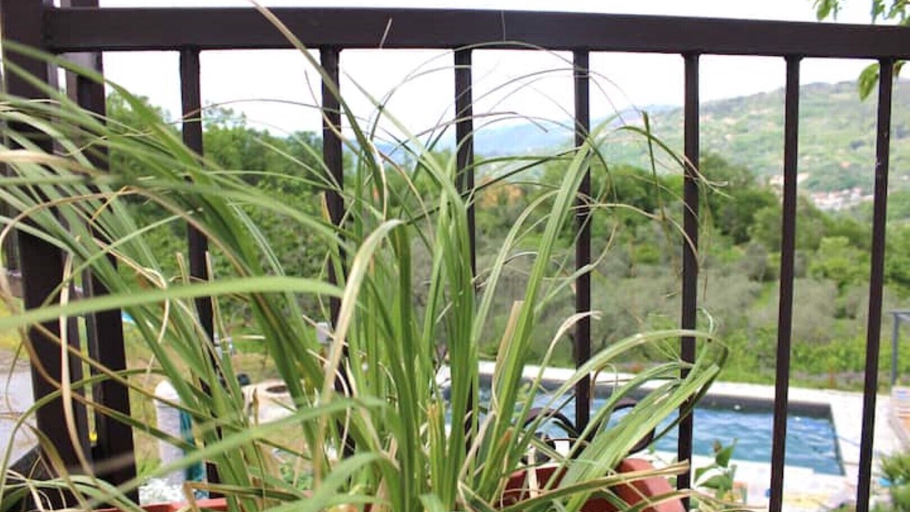 Photo of Outdoor in Santo Stefano di Magra