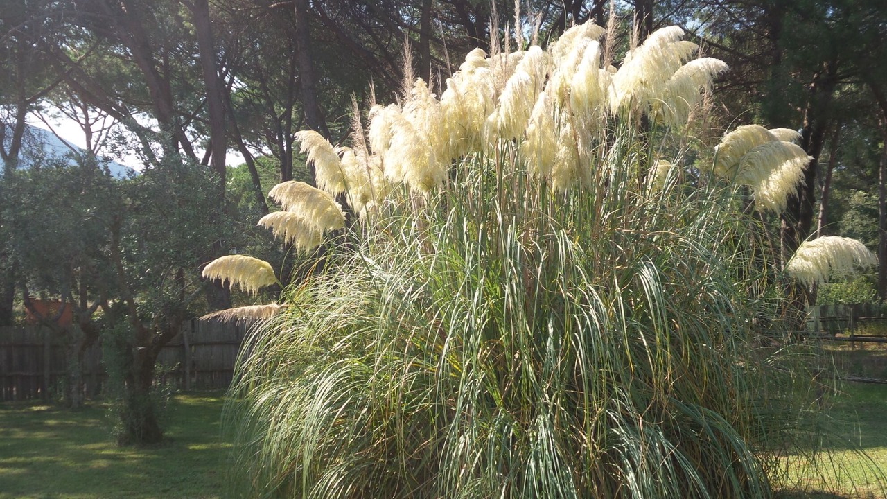 Photo of Outdoor in Sabaudia