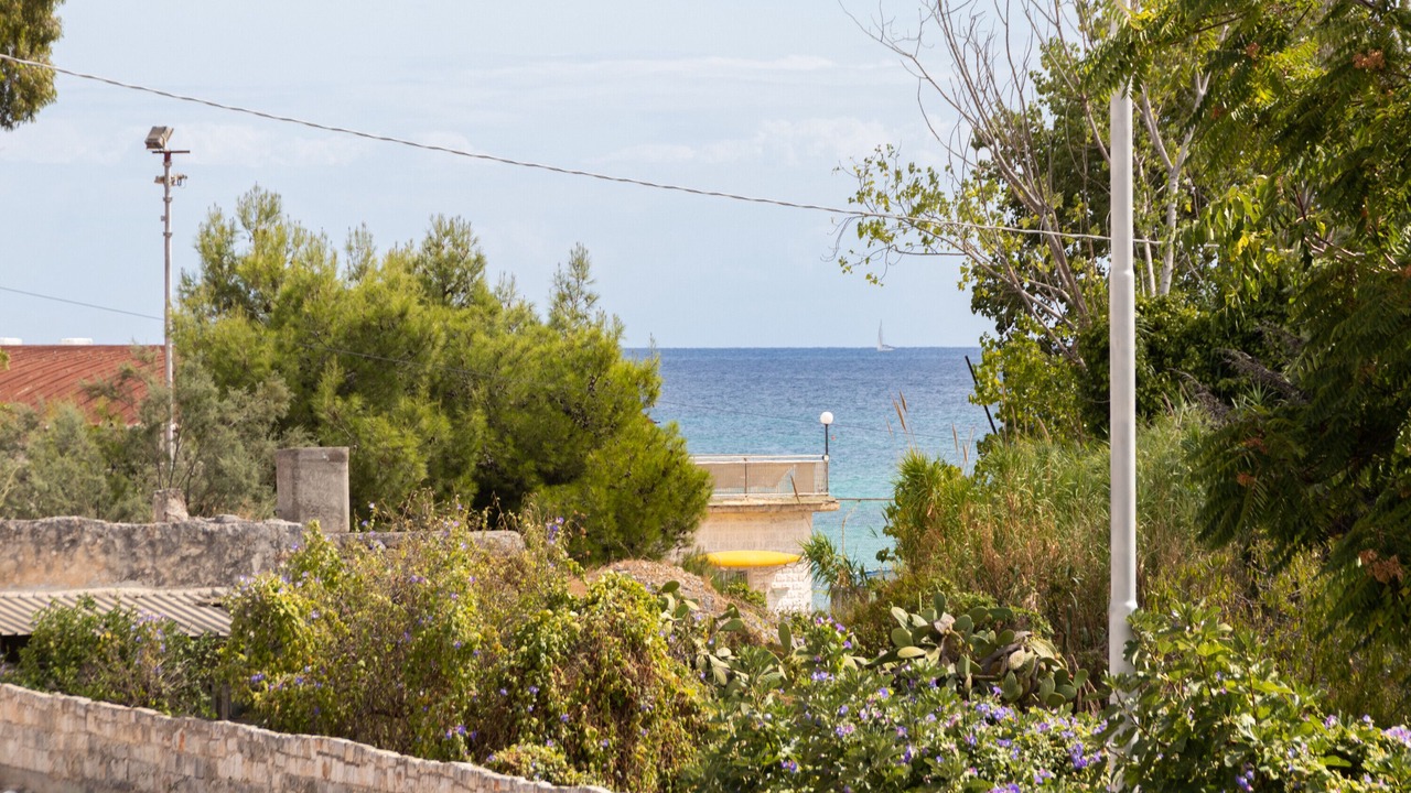 Photo of Outdoor in Municipio 1