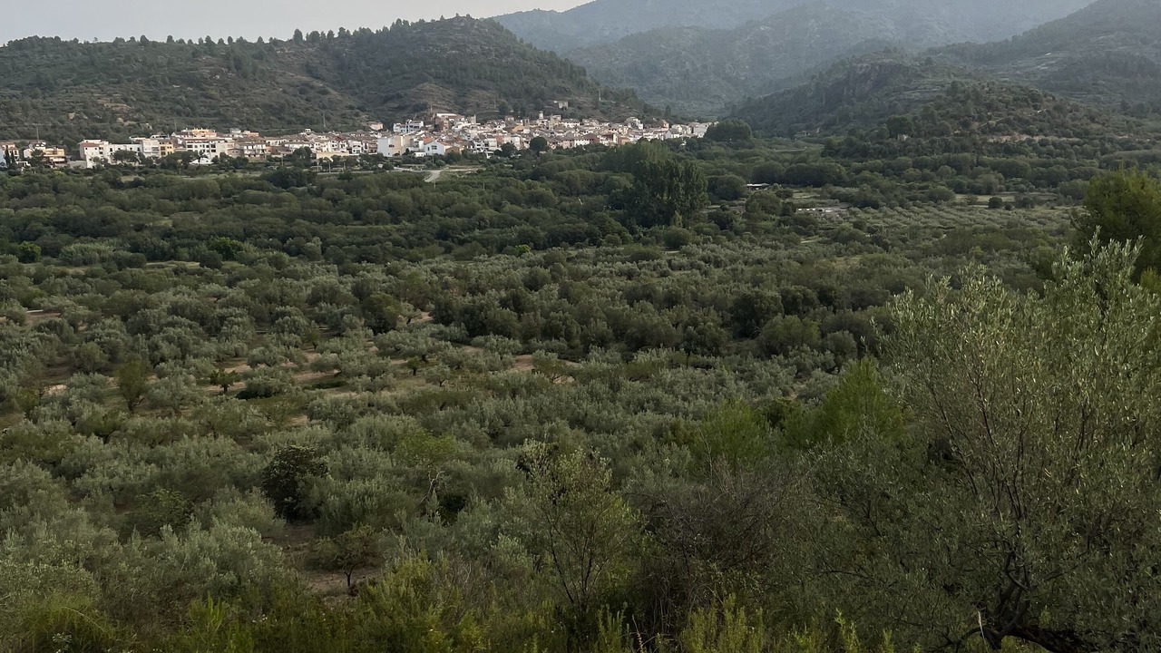 Photo of Outdoor in Algimia de Almonacid
