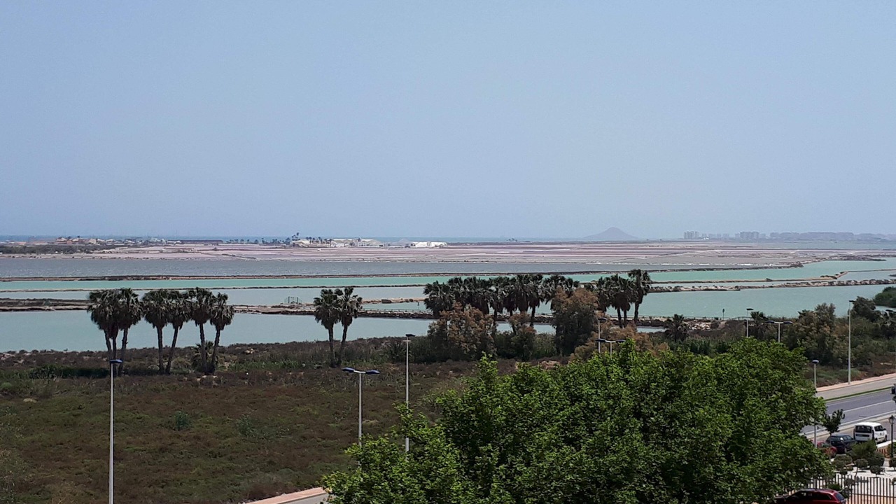 Photo of Outdoor in Los Imbernones