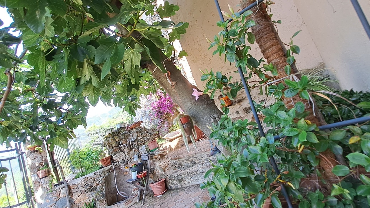 Photo of Outdoor in Quiliano