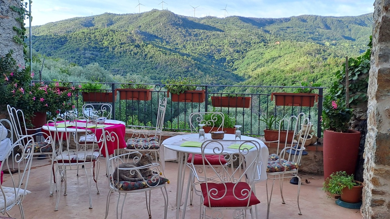 Photo of Outdoor in Quiliano