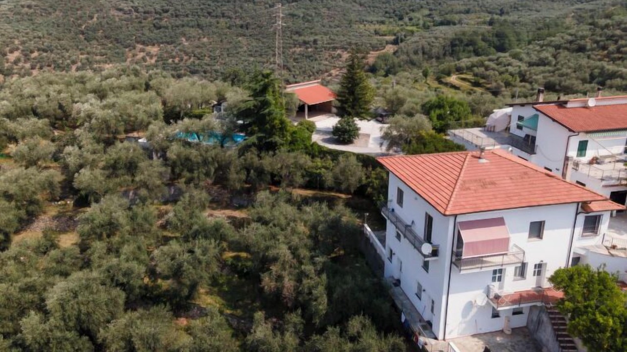 Photo of Others in Gazzelli