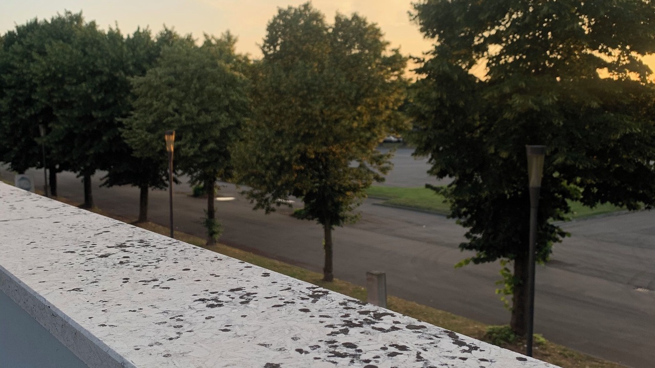 Photo of Outdoor in Montegrotto Terme
