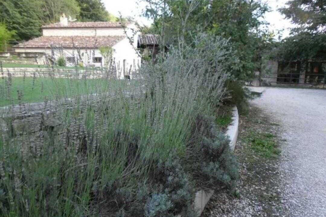Photo of Outdoor in Casalciprano