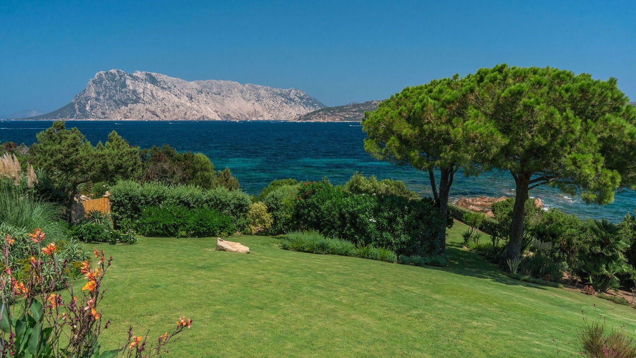 Photo of Others in Capo Coda Cavallo