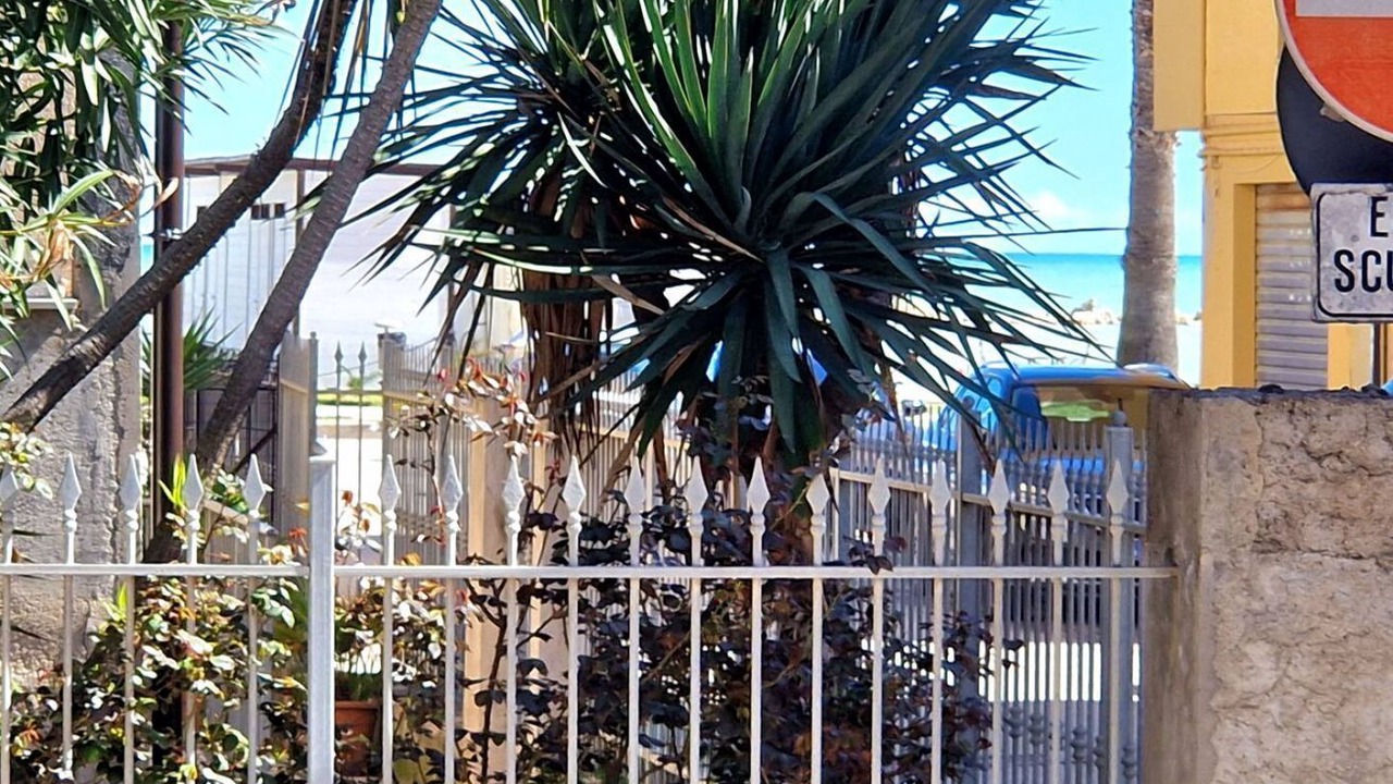 Photo of Outdoor in Porto Sant'Elpidio