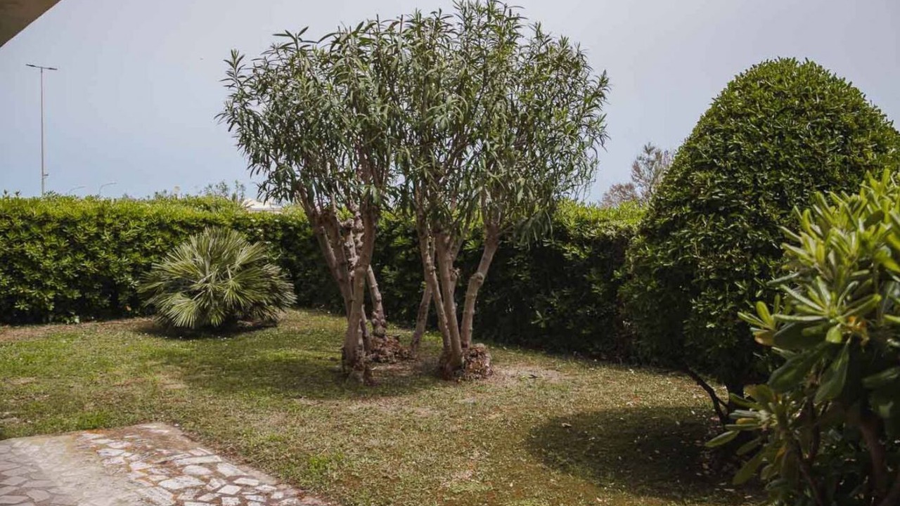 Photo of Outdoor in Lido di Fermo