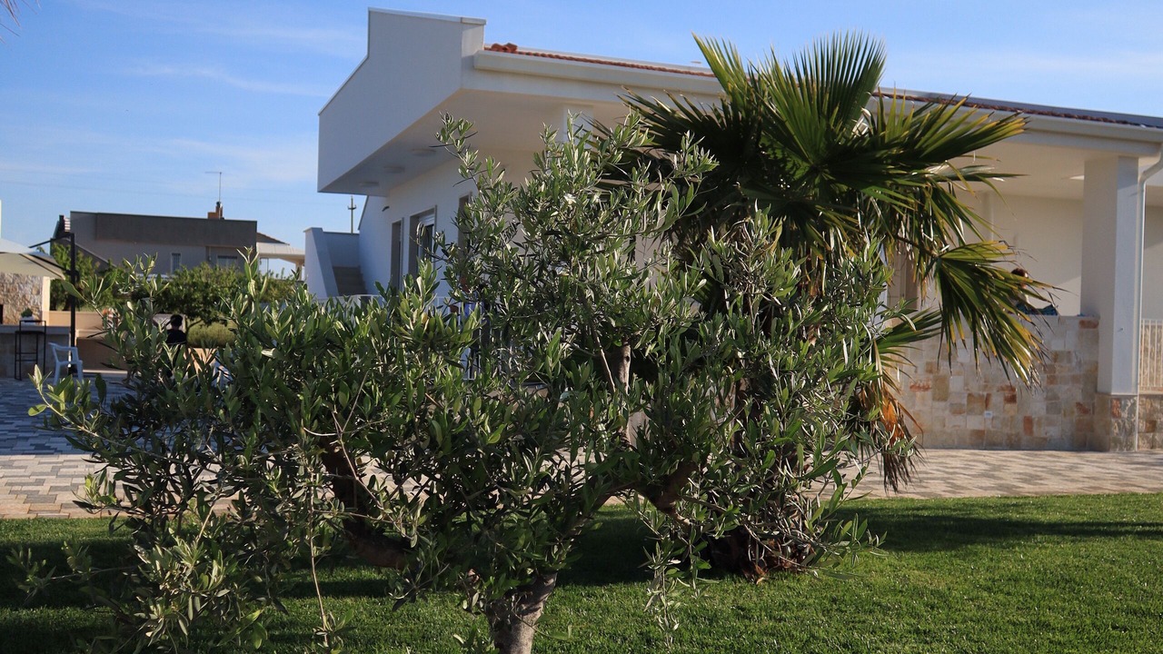 Photo of Outdoor in Conversano