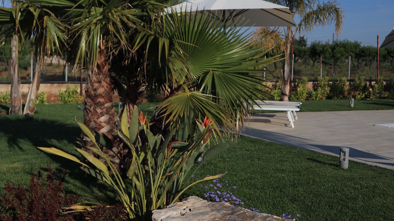 Photo of Outdoor in Conversano