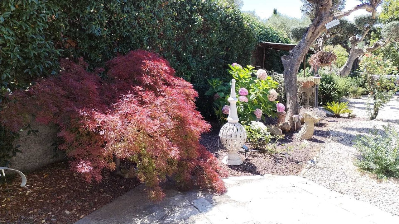 Photo of Outdoor in Oneglia