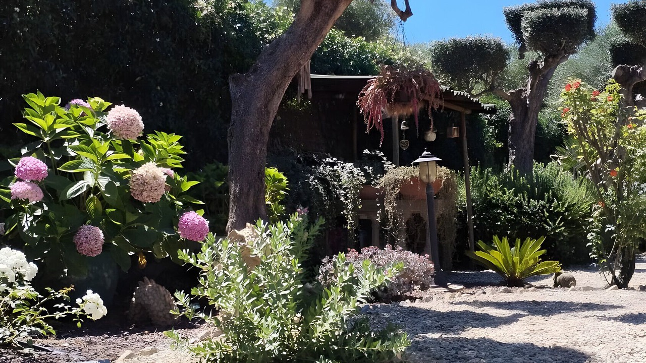 Photo of Outdoor in Oneglia