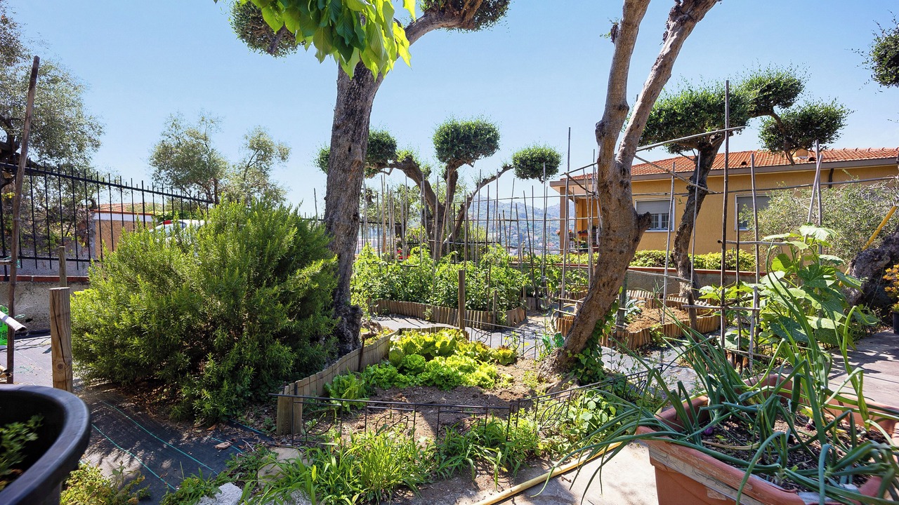 Photo of Outdoor in Oneglia