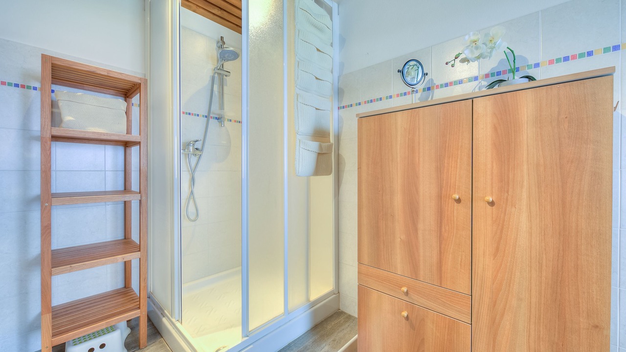 Photo of Bathroom in Ispra