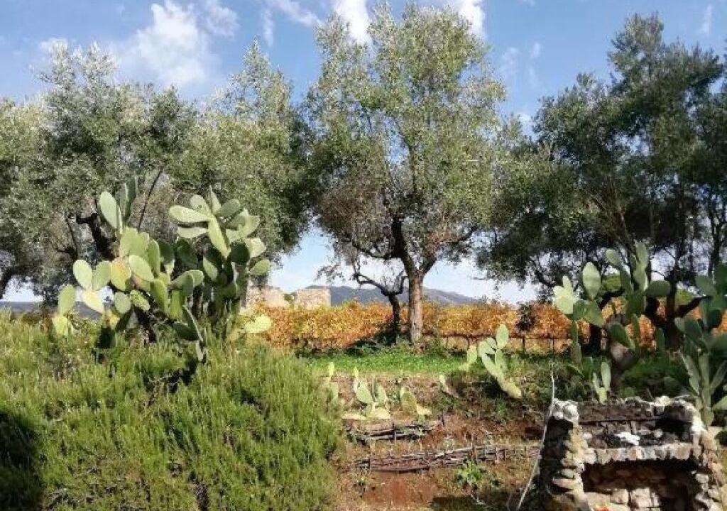 Photo of Outdoor in Genzano di Roma