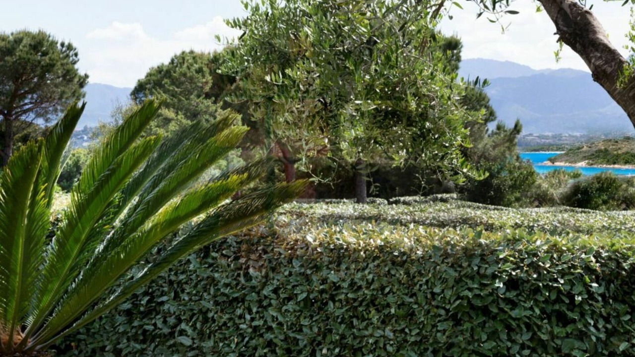 Photo of Outdoor in Capo Coda Cavallo