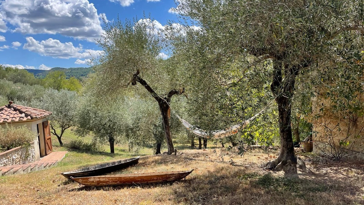 Photo of Outdoor in Collebaldo