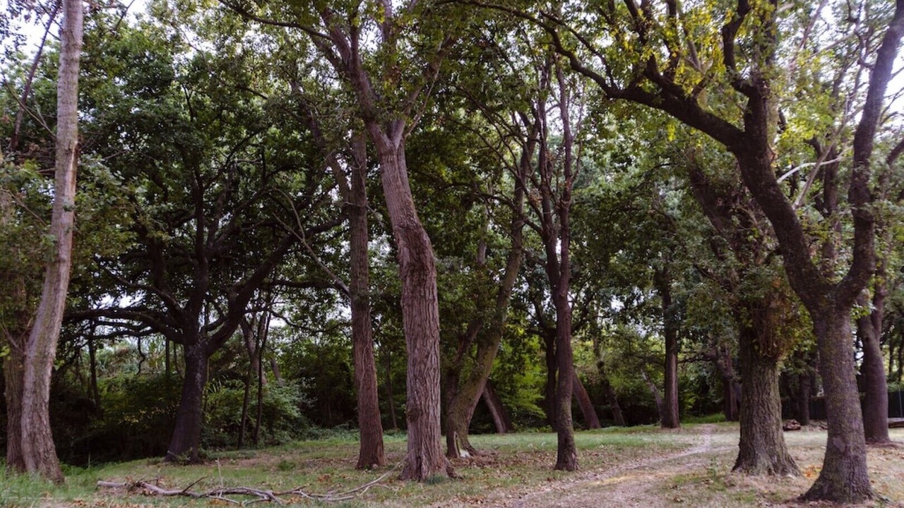 Photo of Outdoor in San Tommaso Tre Archi