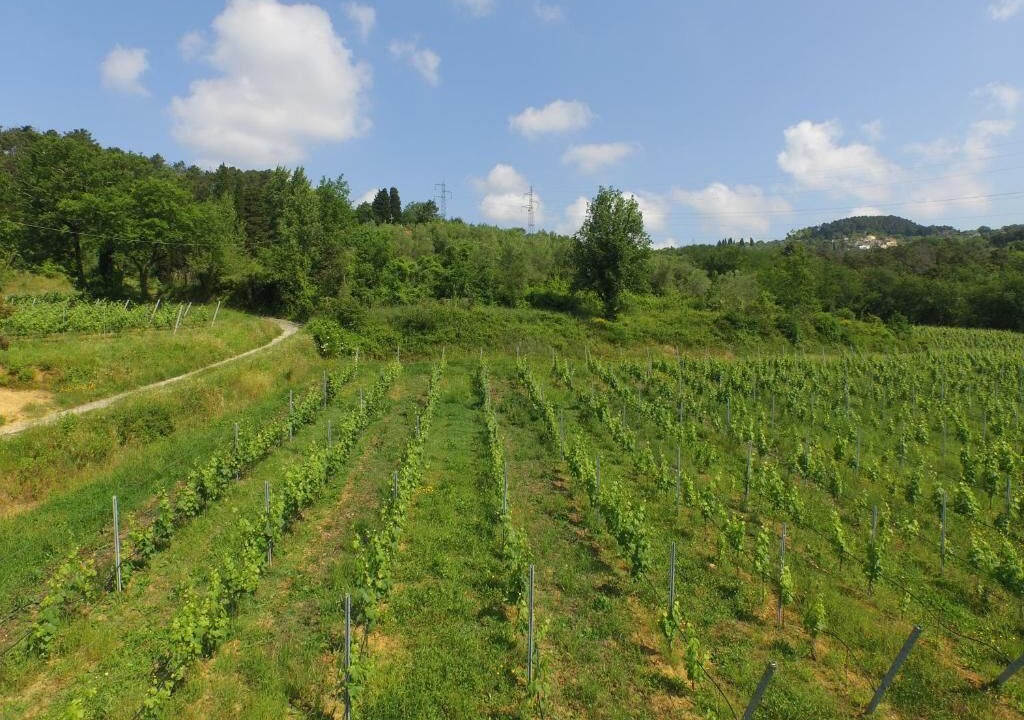 Photo of Outdoor in Sarzana