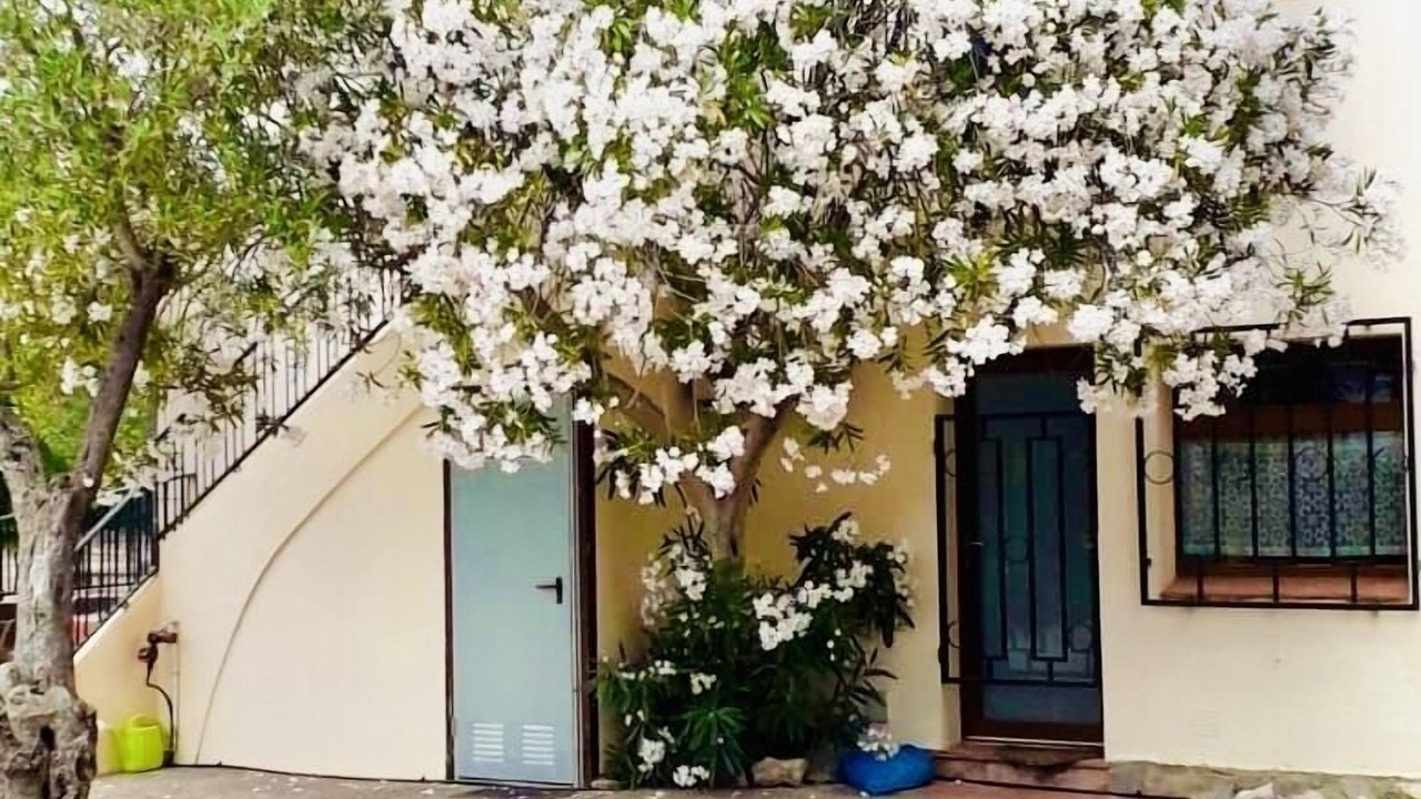 Photo of Outdoor in El Mas Bosca