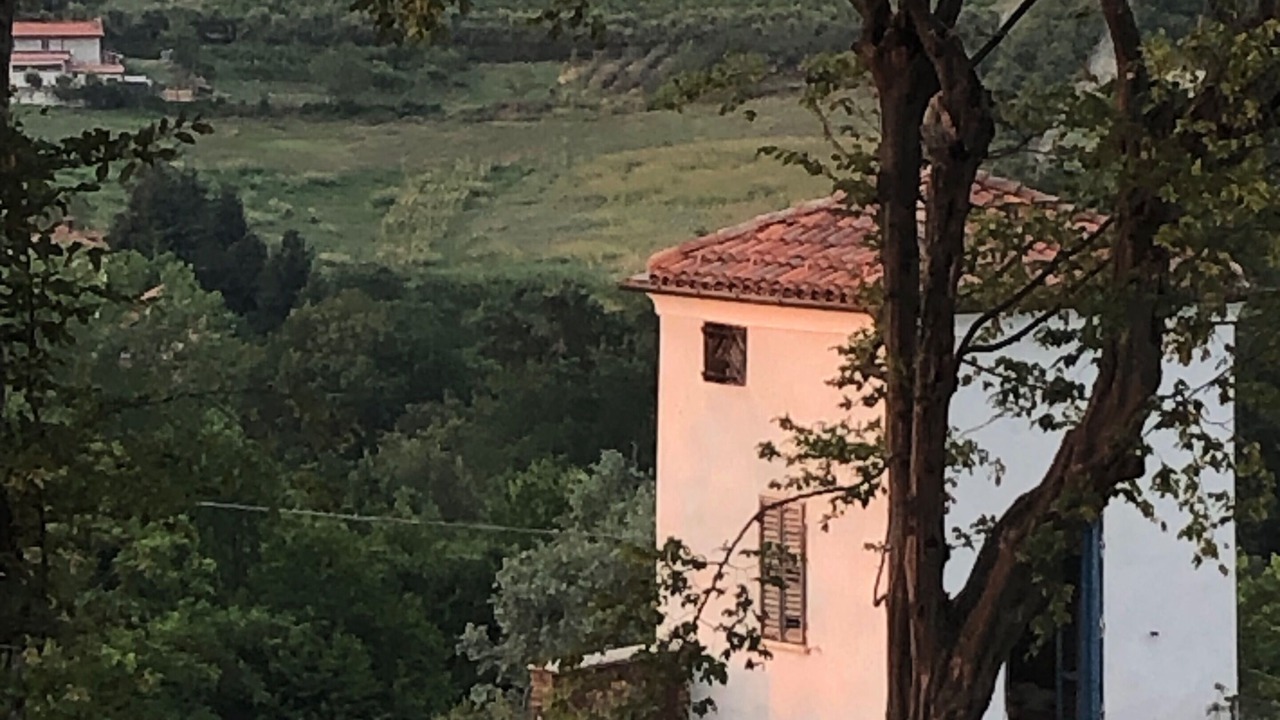 Photo of Outdoor in Mondovi