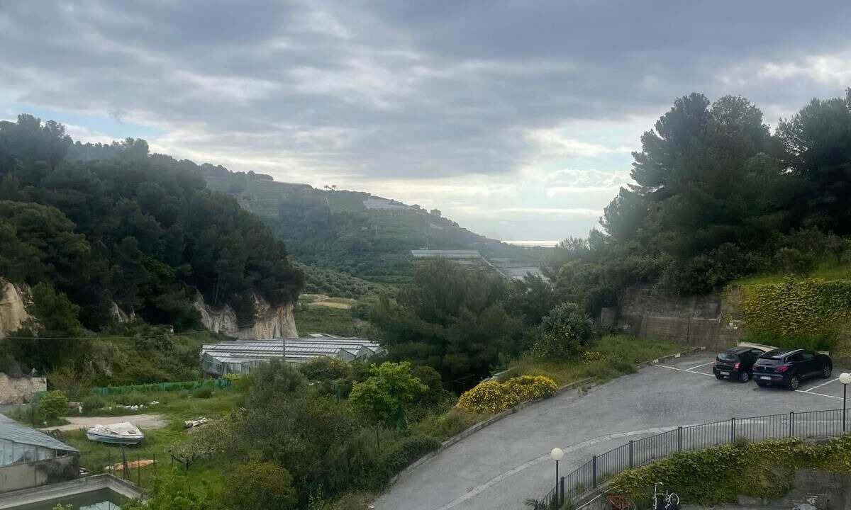 Photo of Outdoor in Terzorio